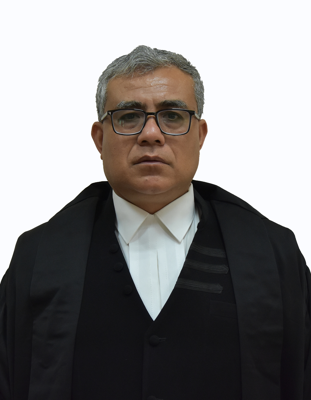 Hon'ble Mr. Justice A. Guneshwar Sharma
